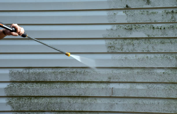 Best Attic Mold Removal  in Mineral Wells, TX